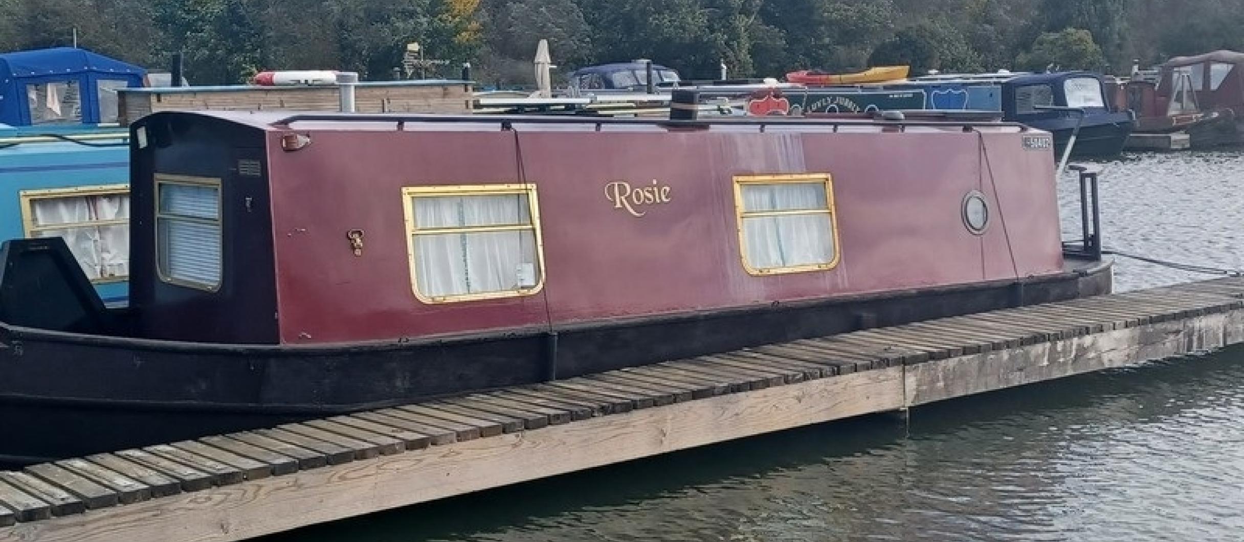 Rosie 3